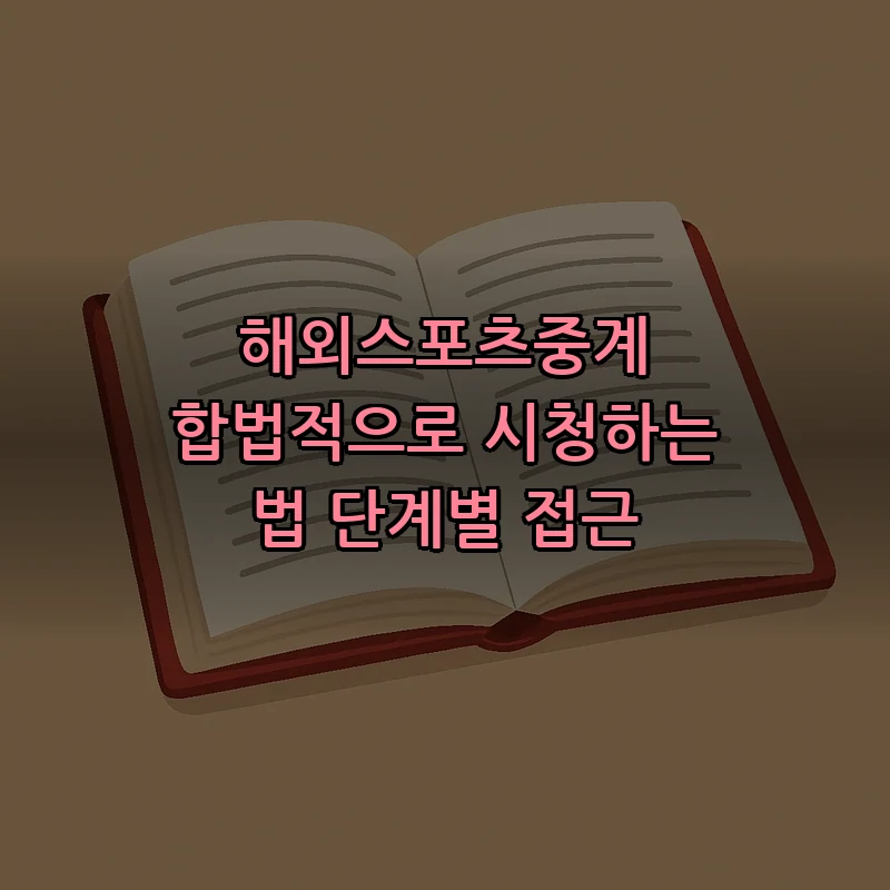 해외스포츠중계 합법적으로 시청하는 방법