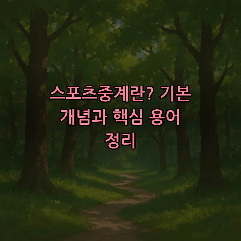 스포츠중계란? 기본 개념과 핵심 용어 정리