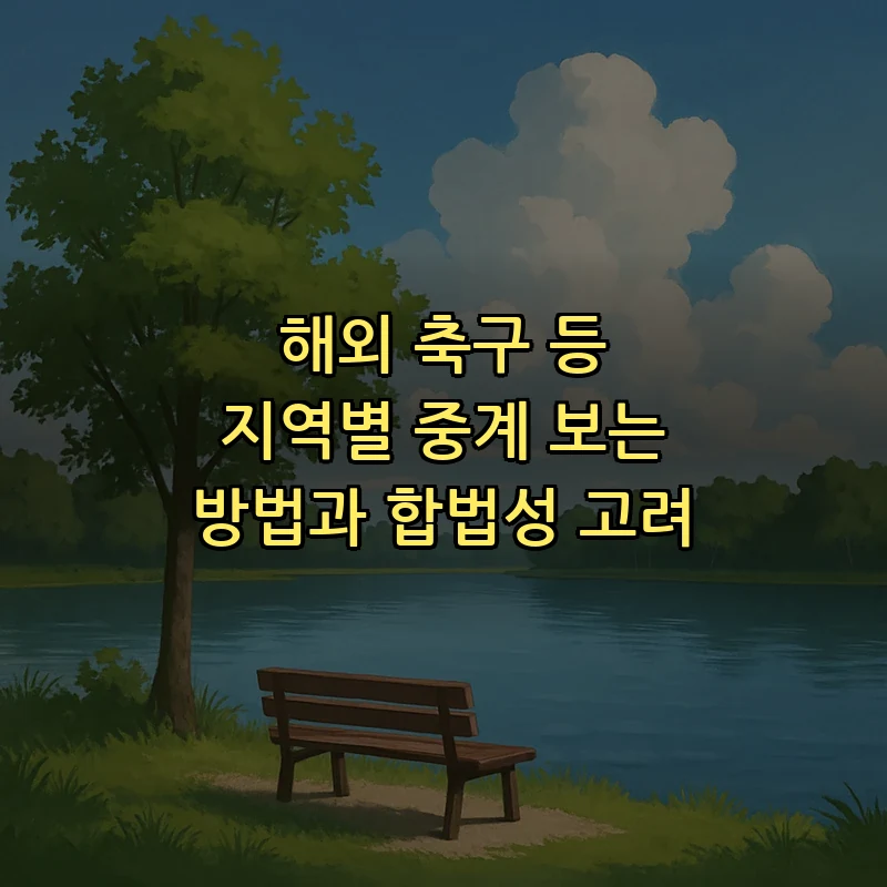 해외 축구 등 지역별 중계 보는 방법과 합법성 고려