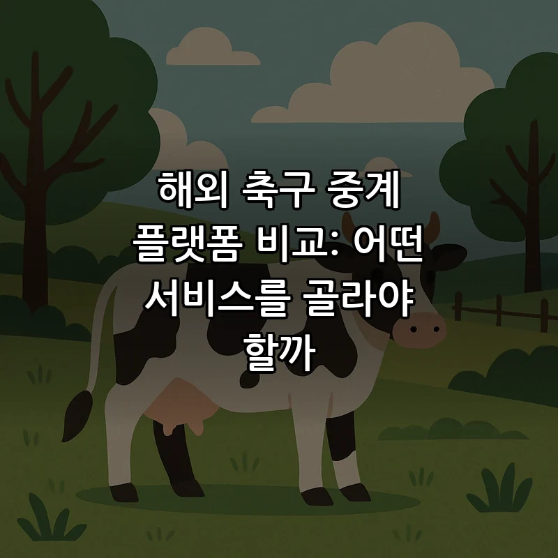 해외 축구 중계 플랫폼 비교: 어떤 서비스를 골라야 할까
