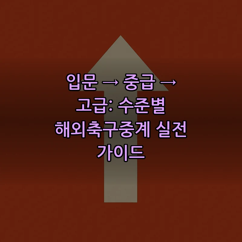 합법적 해외축구중계 시청 방법: 초보자를 위한 안내