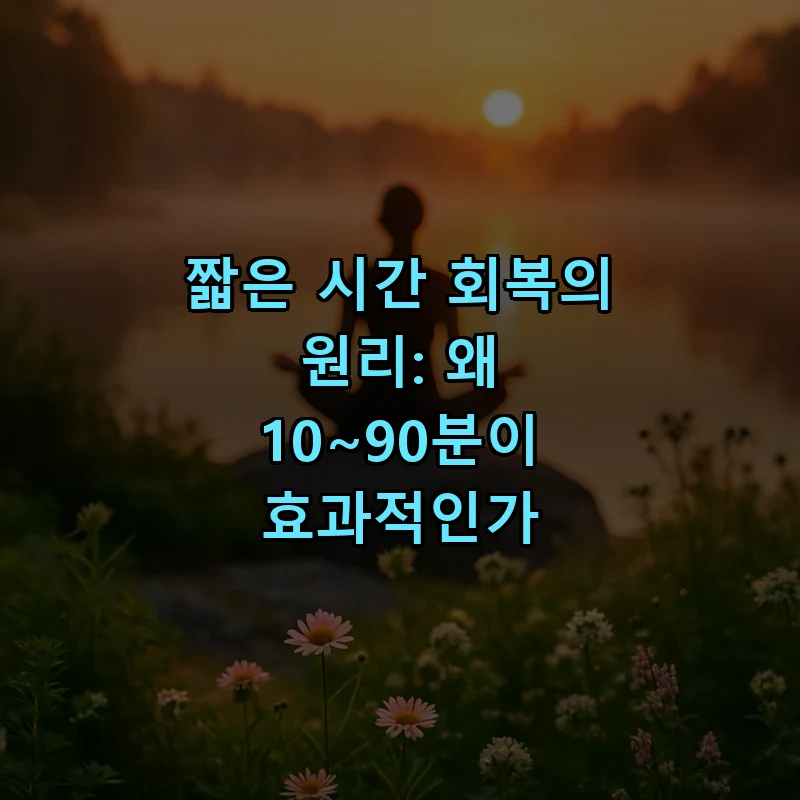 짧은 시간 회복의 원리: 왜 10~90분이 효과적인가