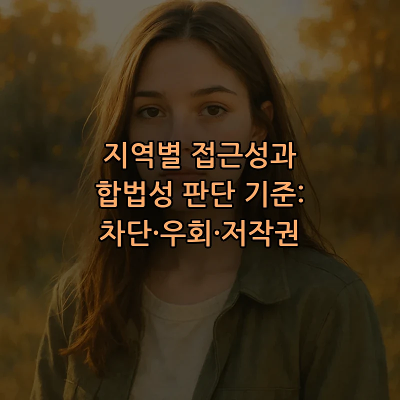 지역별 접근성과 합법성 판단 기준: 차단·우회·저작권