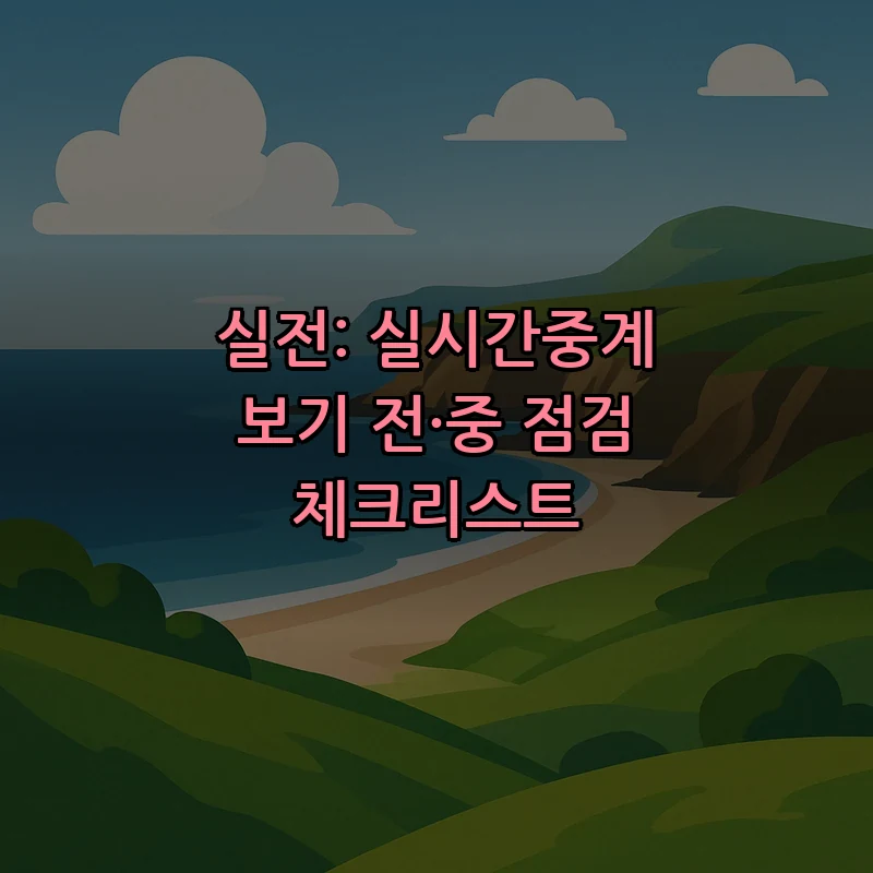 실전: 실시간중계 보기 전·중 점검 체크리스트