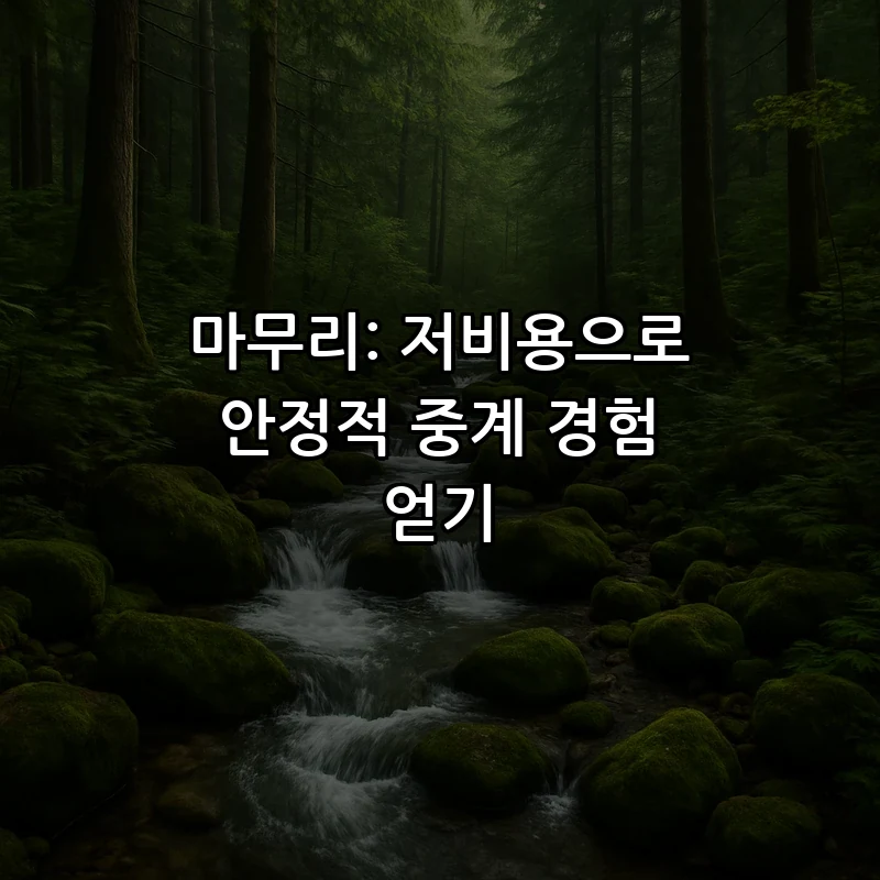 마무리: 저비용으로 안정적 중계 경험 얻기