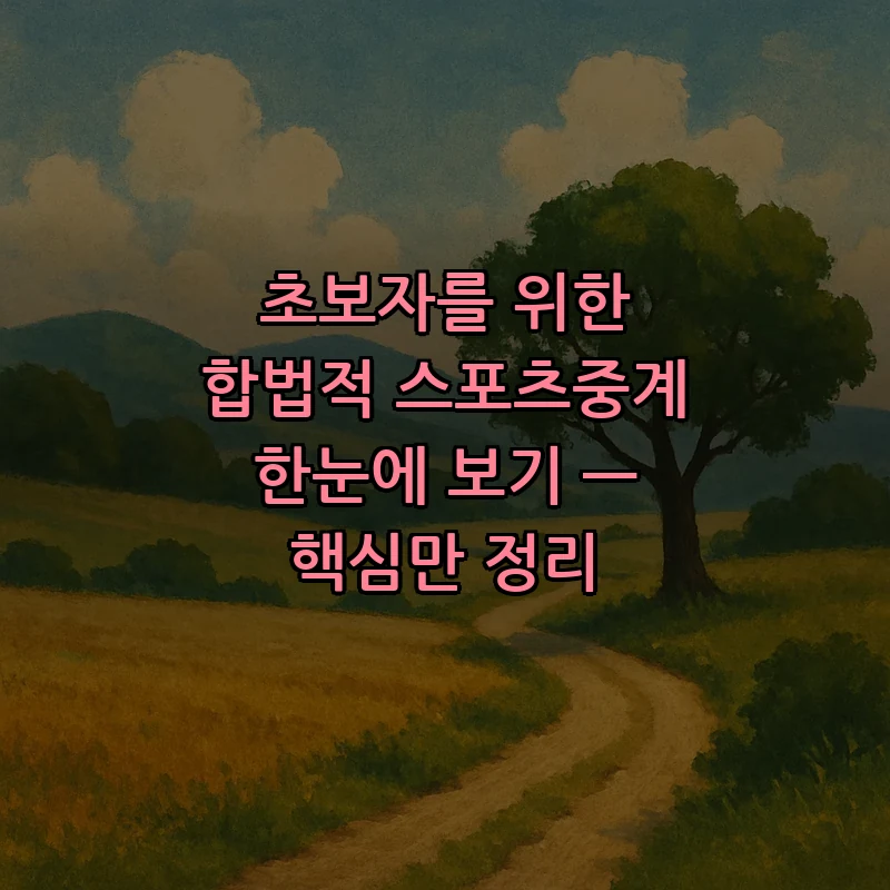 초보자를 위한 합법적 스포츠중계 이해하기