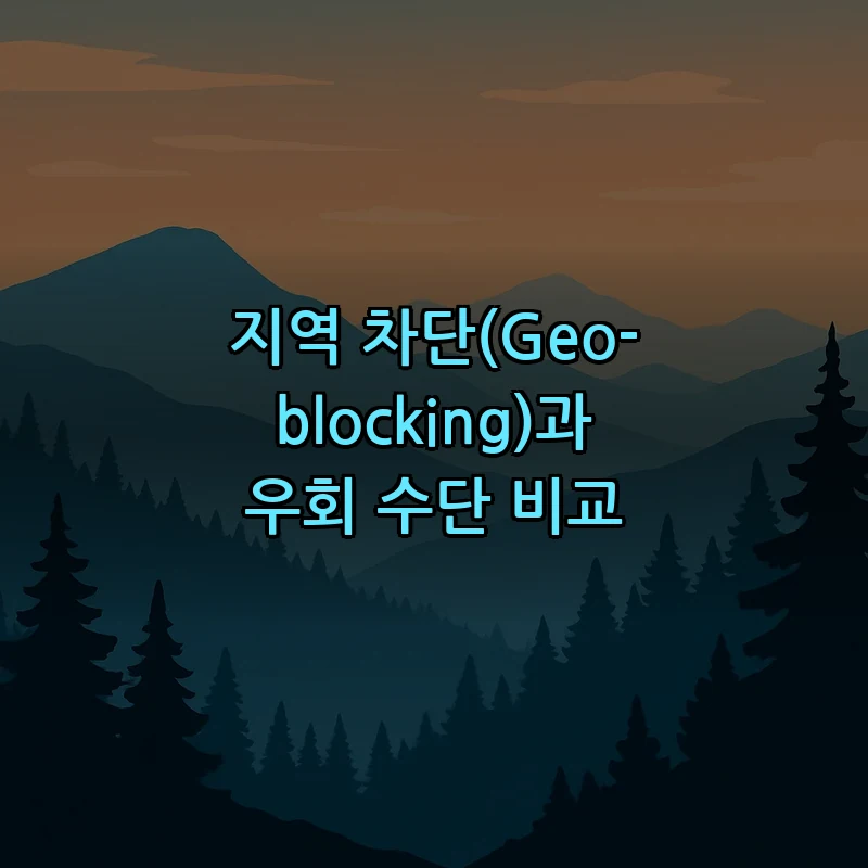 지역 차단(Geo-blocking)과 우회 수단 비교