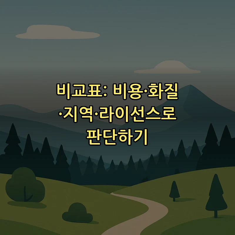 비교표: 비용·화질·지역·라이선스로 판단하기