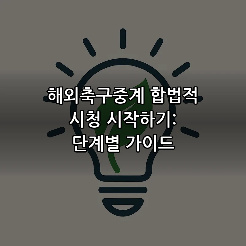 해외축구중계 합법적 시청 가이드: 초보자 필독