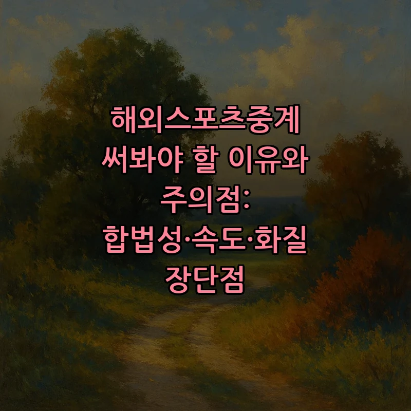 해외스포츠중계의 합법성과 시청 방법 완전 가이드