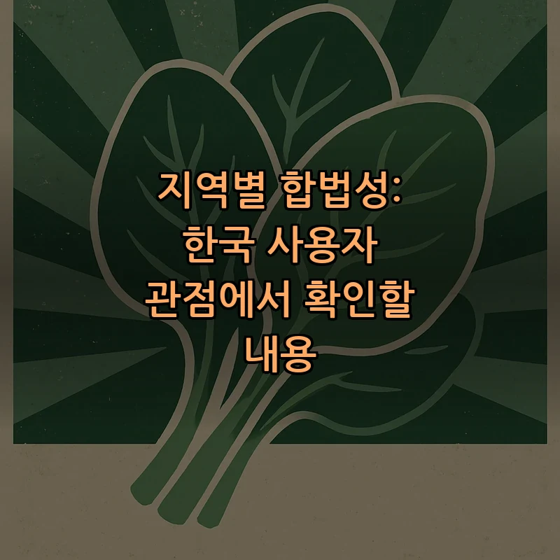 지역별 합법성: 한국 사용자 관점에서 확인할 내용