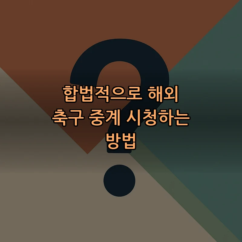 합법적으로 해외 축구 중계 시청하는  방법