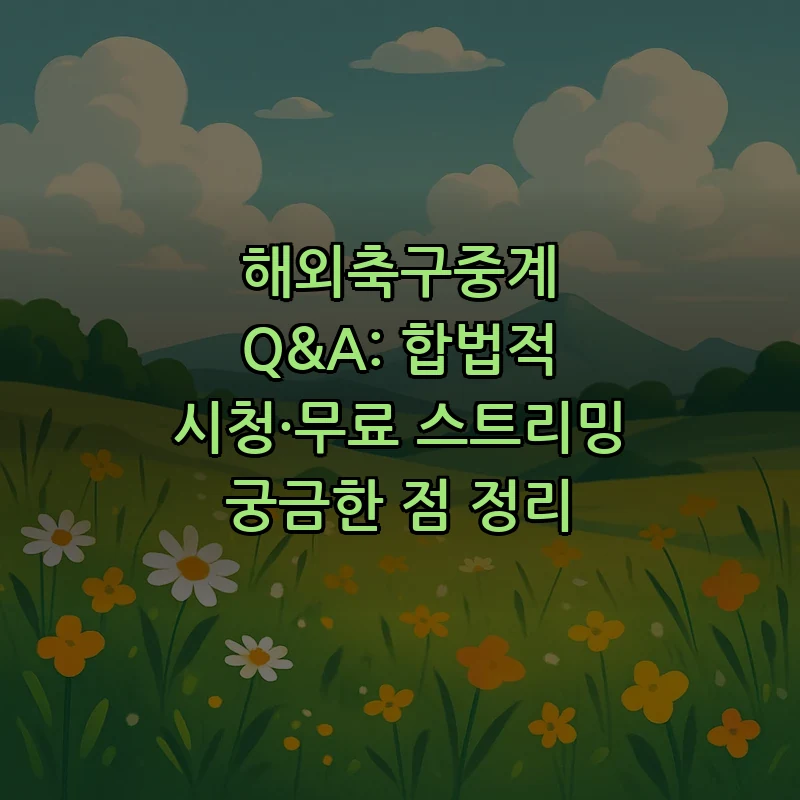 해외축구중계: 합법적 시청 방법과 무료 스트리밍 확인