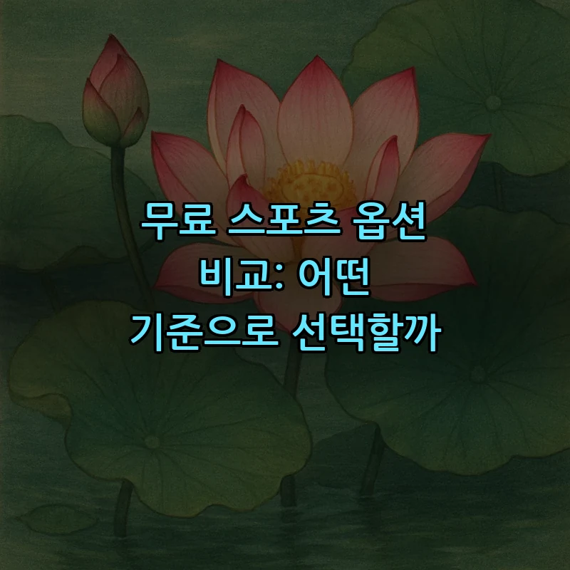 무료 스포츠 옵션 비교: 어떤 기준으로 선택할까