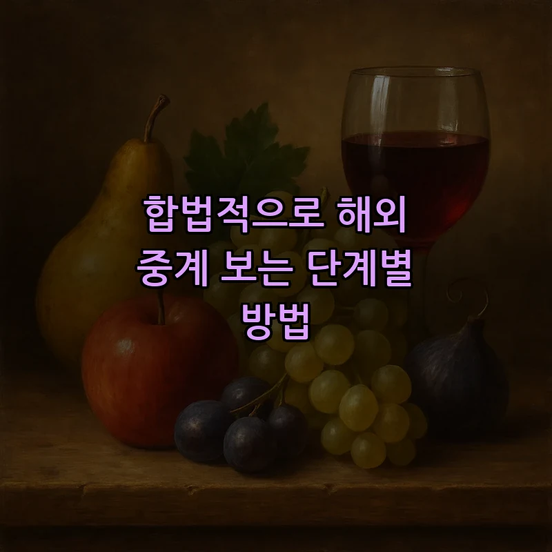 합법적으로 해외 중계 보는 단계별 방법