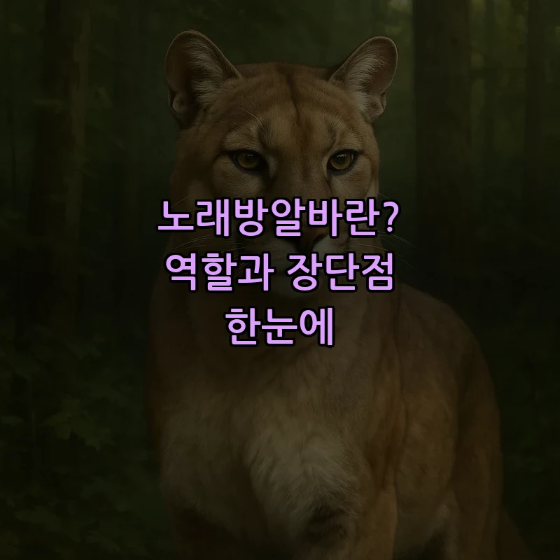 노래방알바란? 역할과 장단점 한눈에