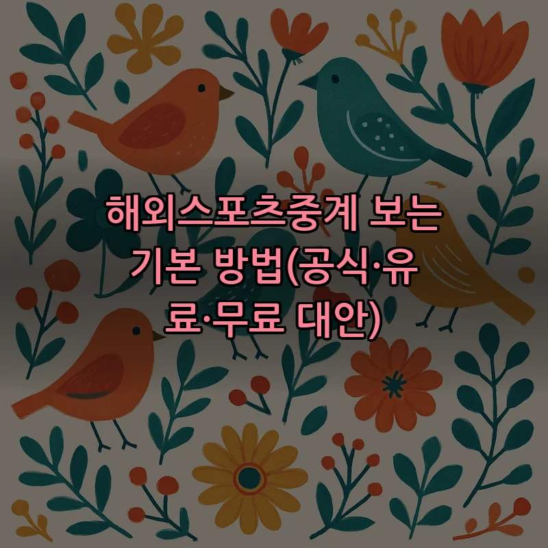 해외스포츠중계 보는 기본 방법(공식·유료·무료 대안)