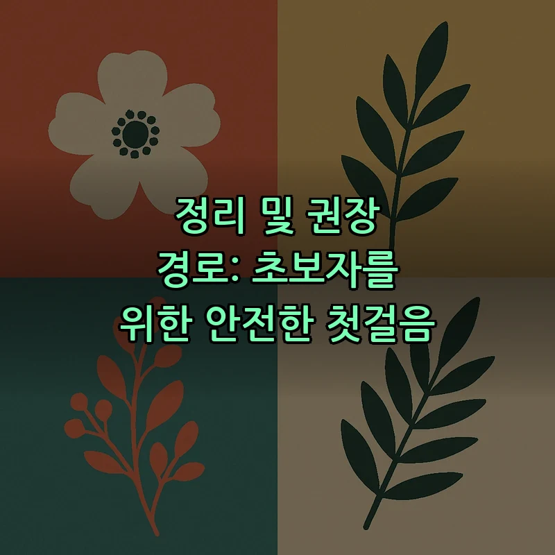정리 및 권장 경로: 초보자를 위한 안전한 첫걸음