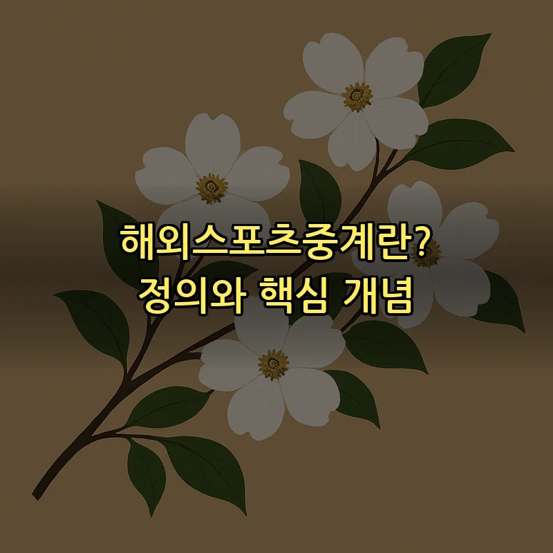 해외스포츠중계란? 정의와 핵심 개념