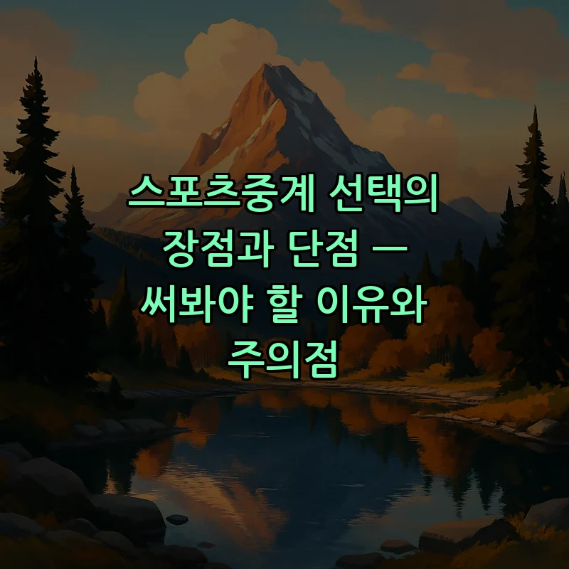 스포츠중계, 안전하고 합법적으로 즐기는 법