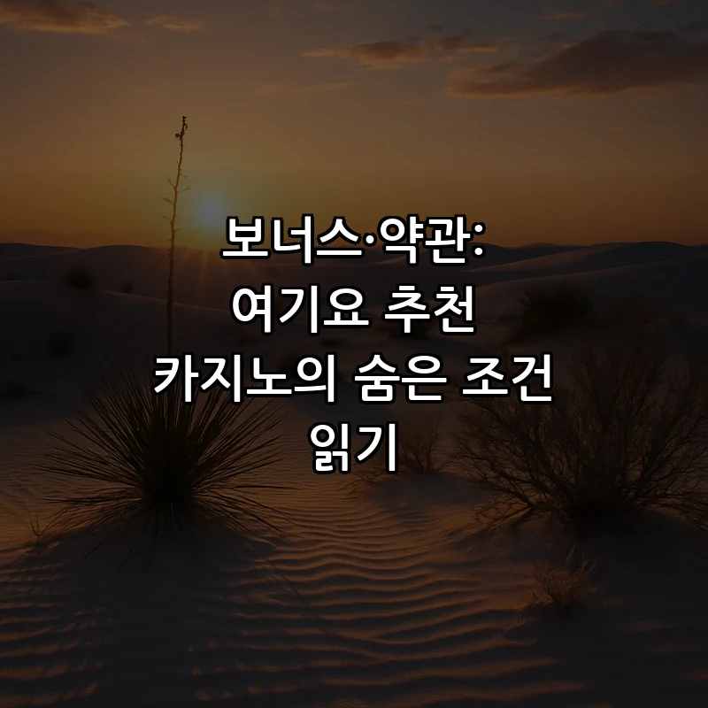 보너스·약관: 여기요 추천 카지노의 숨은 조건 읽기