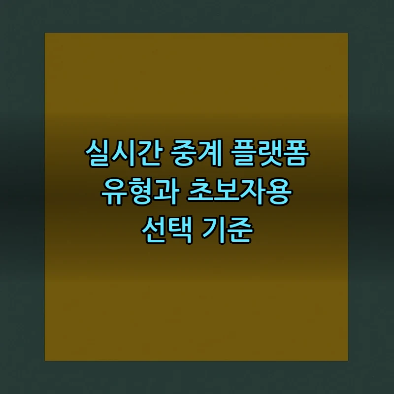 실시간 중계 플랫폼 유형과 초보자용 선택 기준